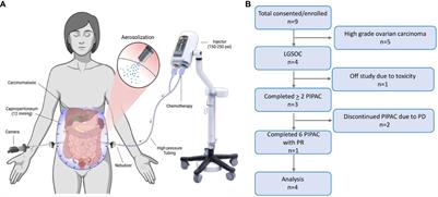 Pressurized intraperitoneal aerosolized chemotherapy (PIPAC) experience in patients with recurrent low grade serous ovarian carcinoma (LGSOC): sub-cohort report of phase 1 clinical trial